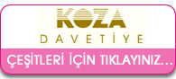kozadavetiyeevi.com